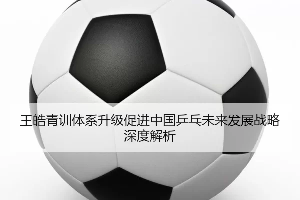 王皓青训体系升级促进中国乒乓未来发展战略深度解析