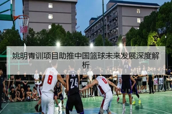 姚明青训项目助推中国篮球未来发展深度解析