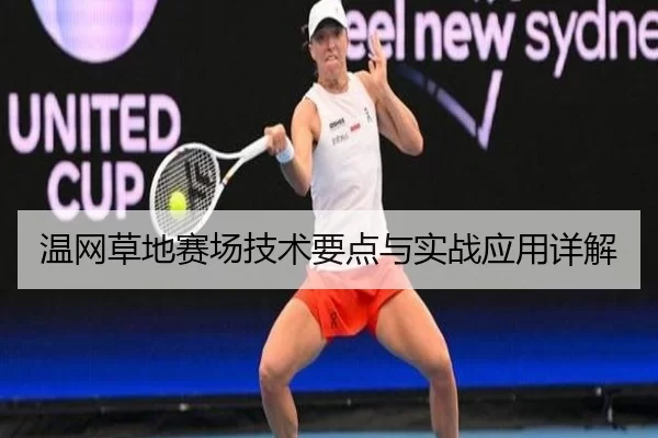 温网草地赛场技术要点与实战应用详解